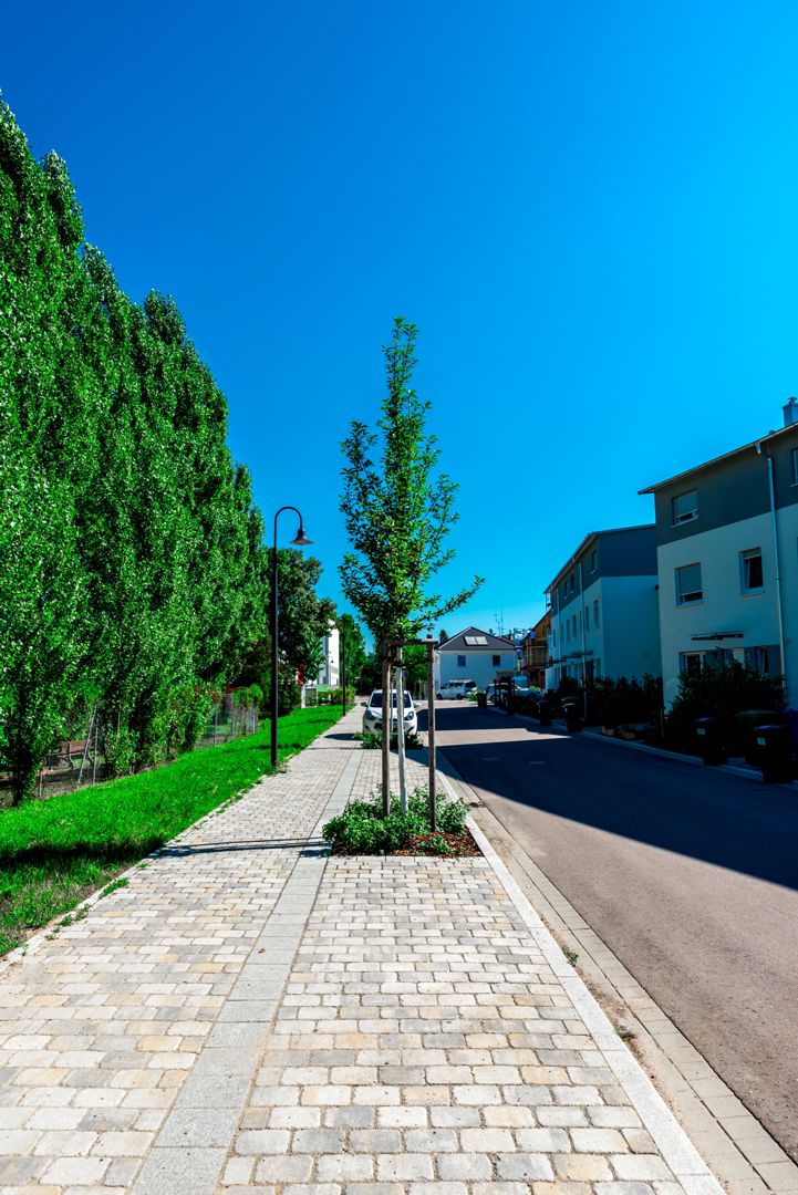 Weingarten Moorblick Gehweg